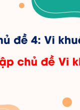 Ôn tập chủ đề Vi khuẩn